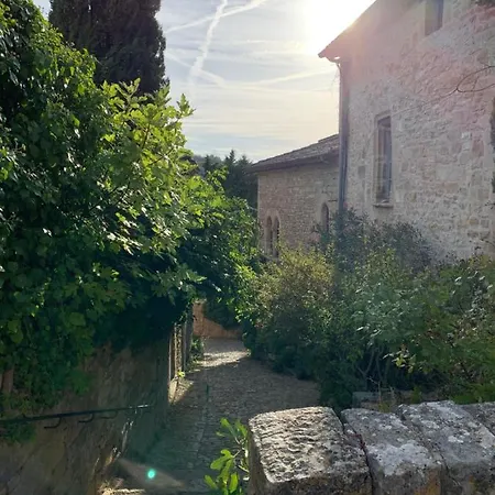 La Maison Des Ecureuils -