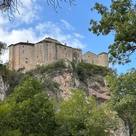 Hébergement de vacances La Maison Des Ecureuils - *
