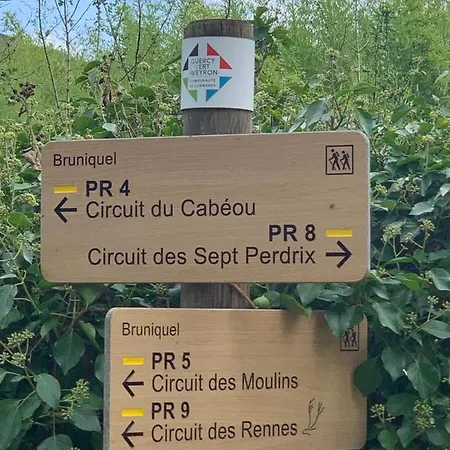 La Maison Des Ecureuils - Hébergement de vacances Bruniquel